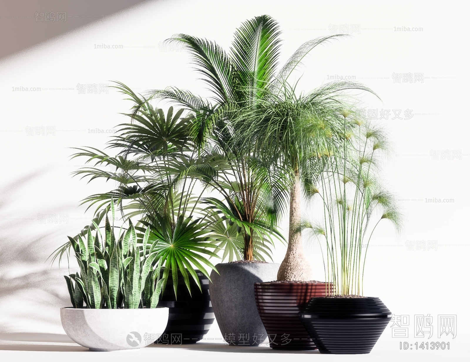 Modern Potted Green Plant