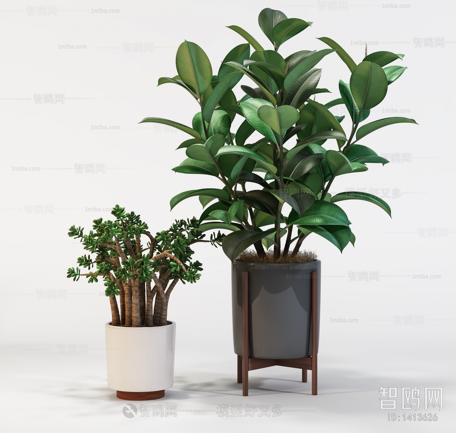 Modern Potted Green Plant