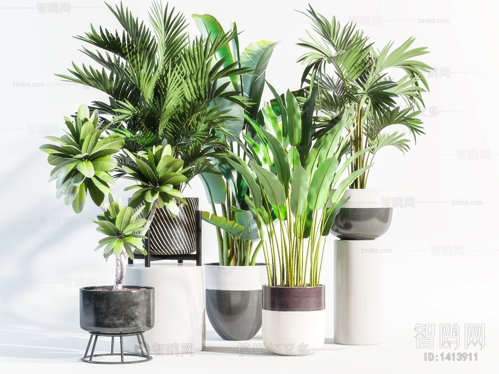 Modern Potted Green Plant