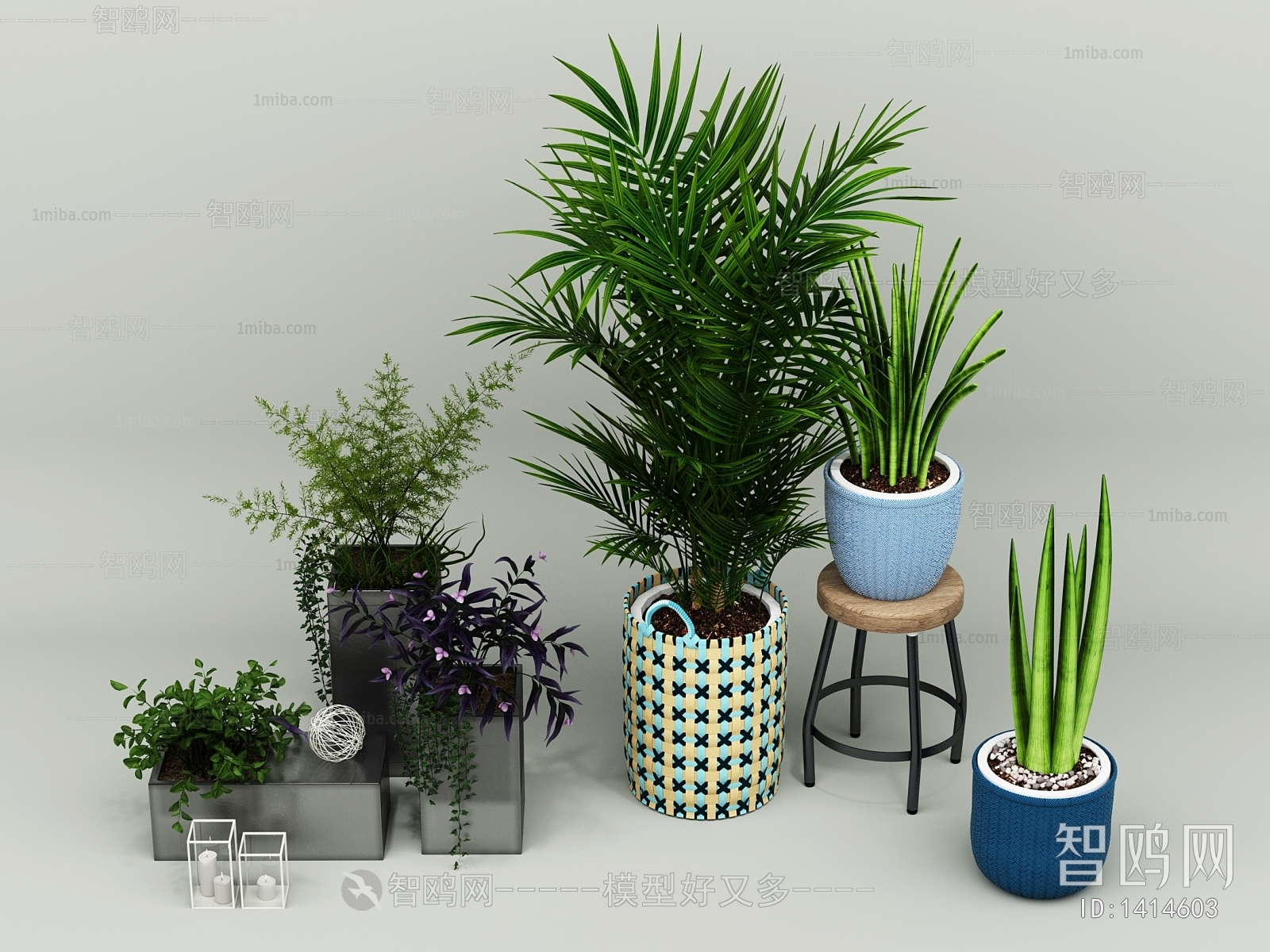 Modern Potted Green Plant