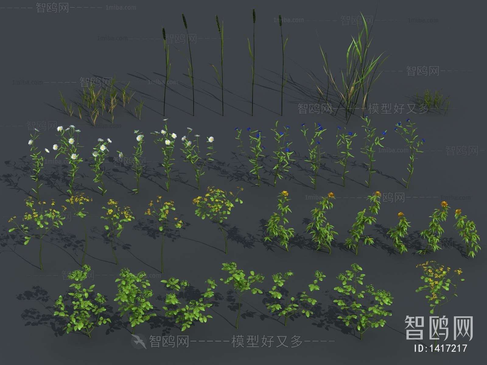 Modern Flowers And Grass