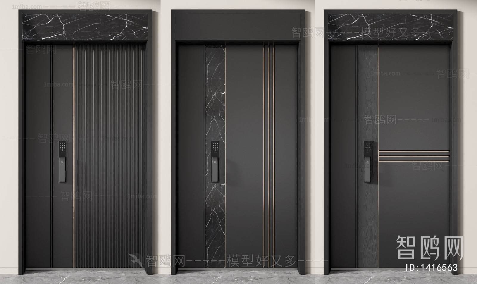 Modern Entrance Door