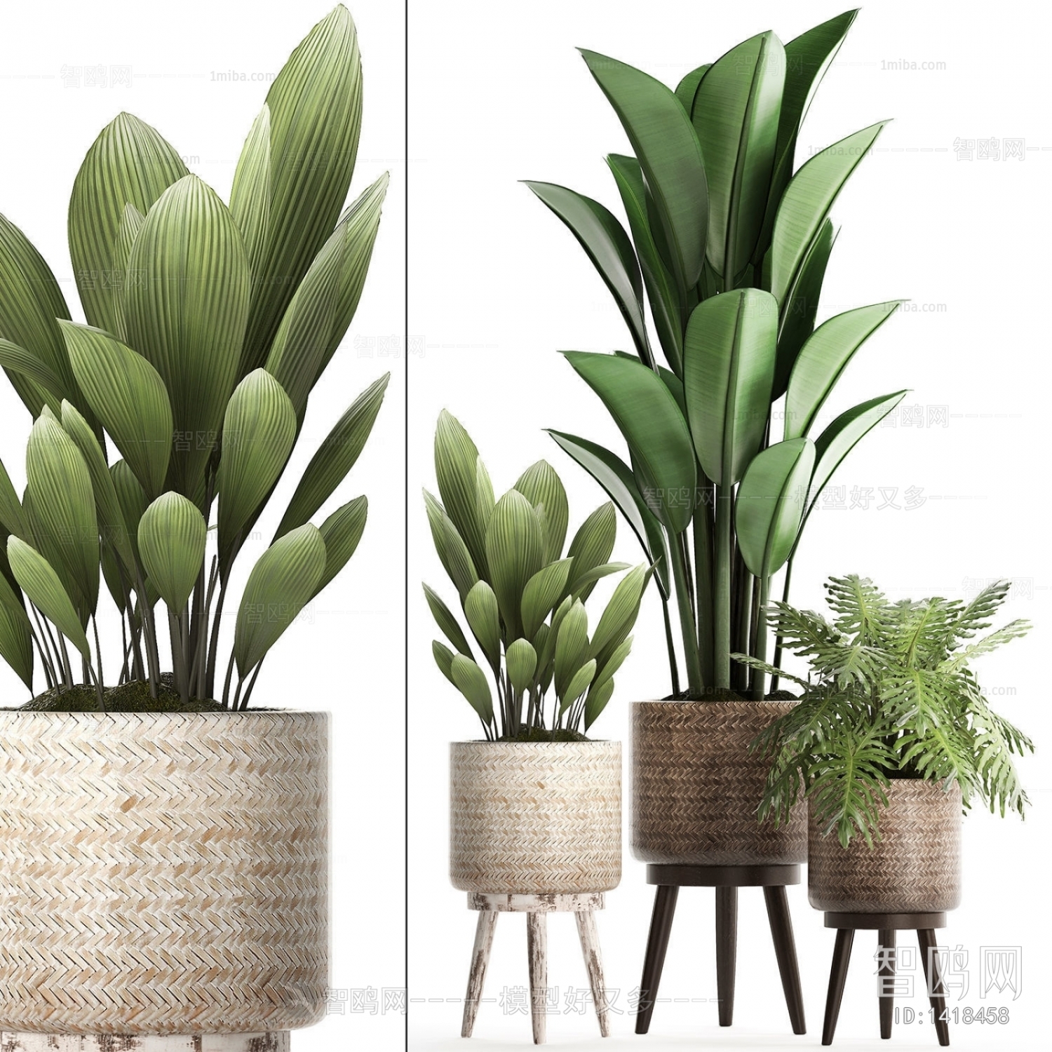 Modern Potted Green Plant