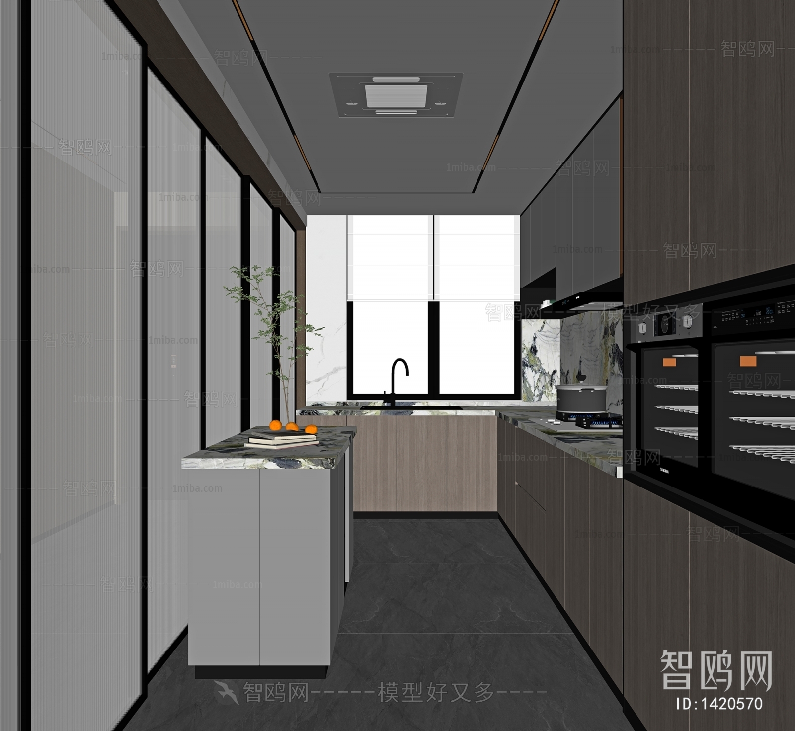 Modern The Kitchen