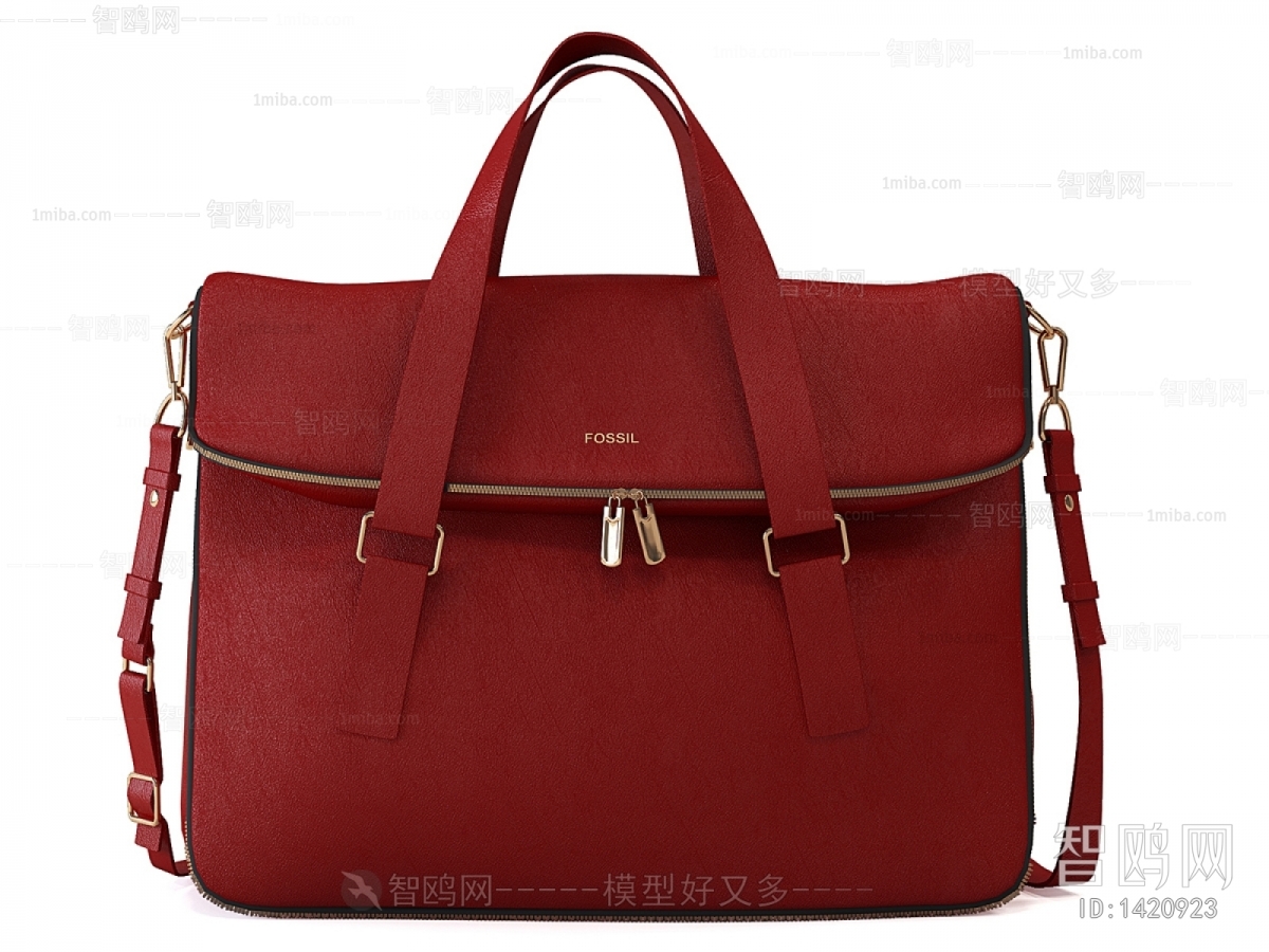 Modern Lady's Bag