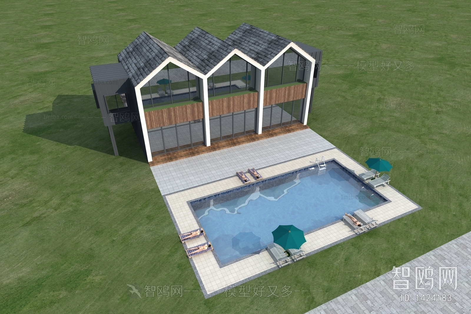 Modern Villa Appearance