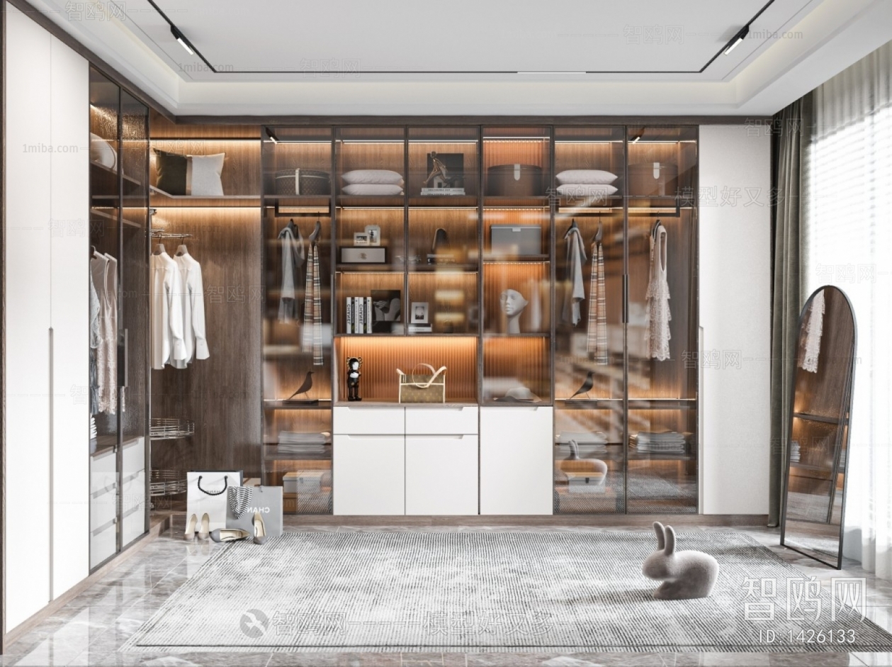 Modern Clothes Storage Area