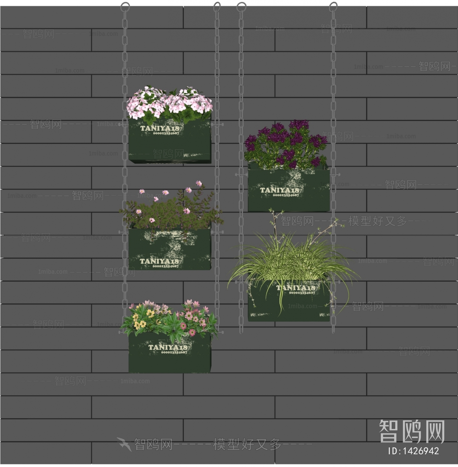 现代墙壁挂式植物