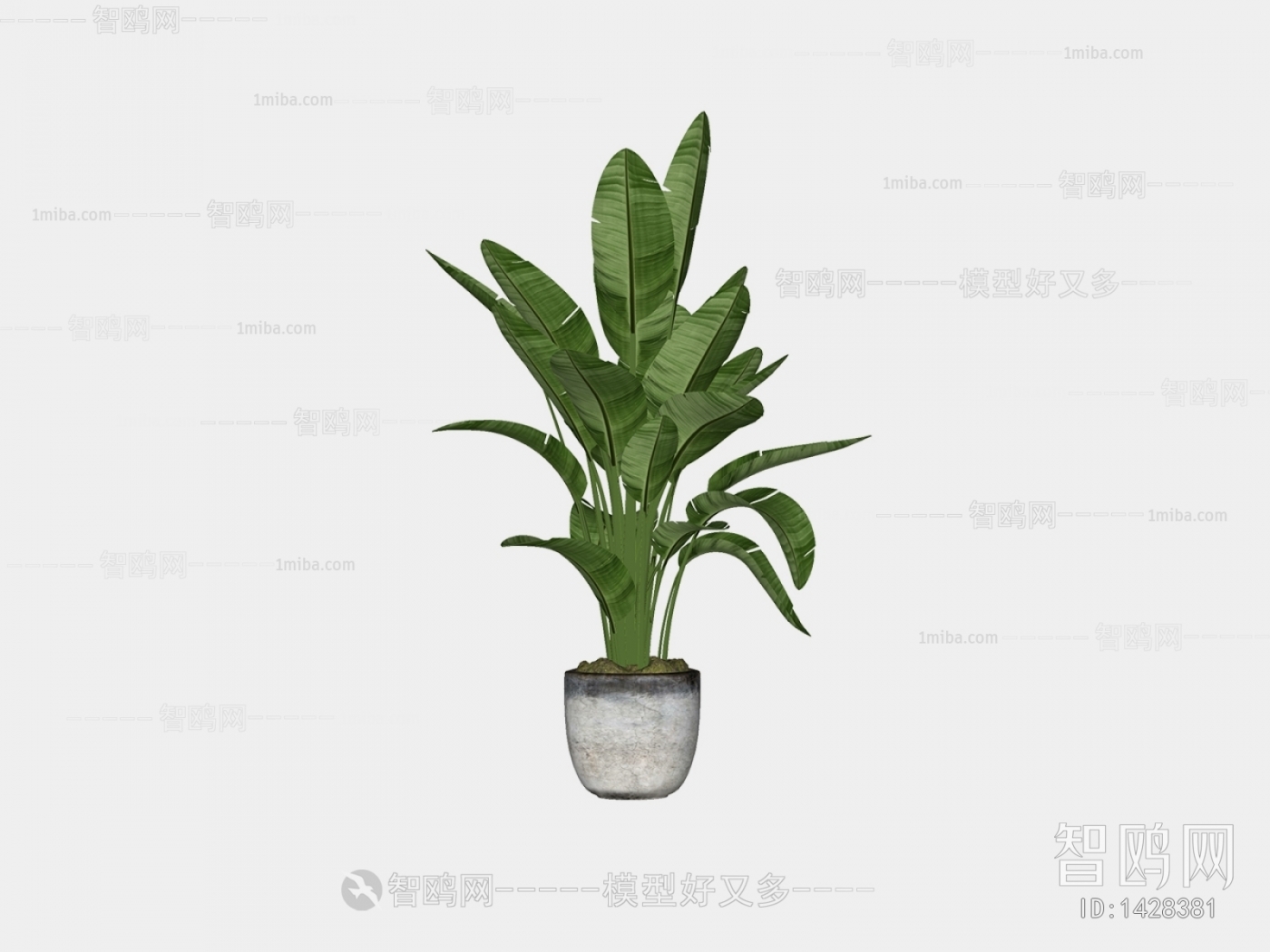 Modern Potted Green Plant