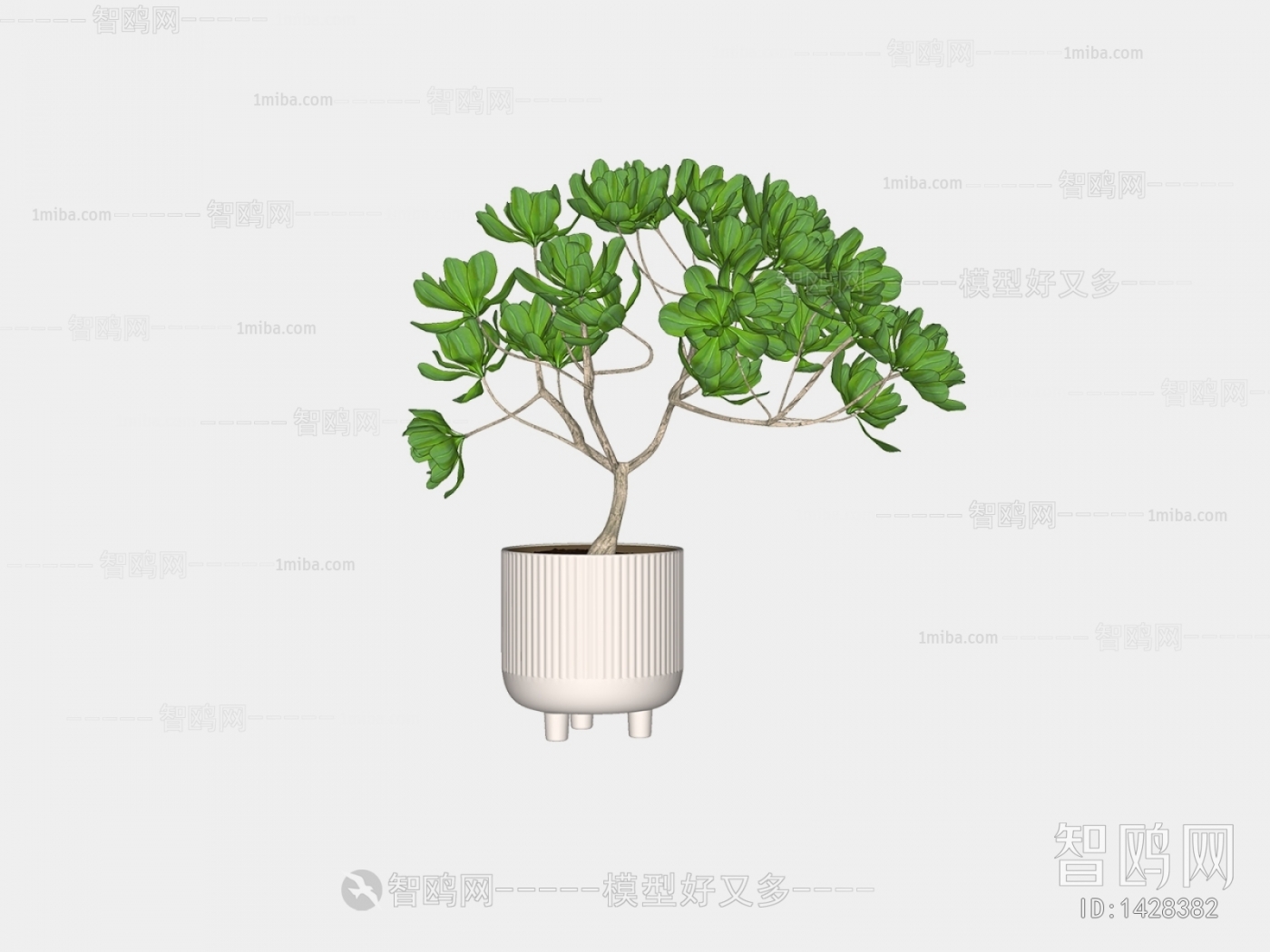 Modern Potted Green Plant