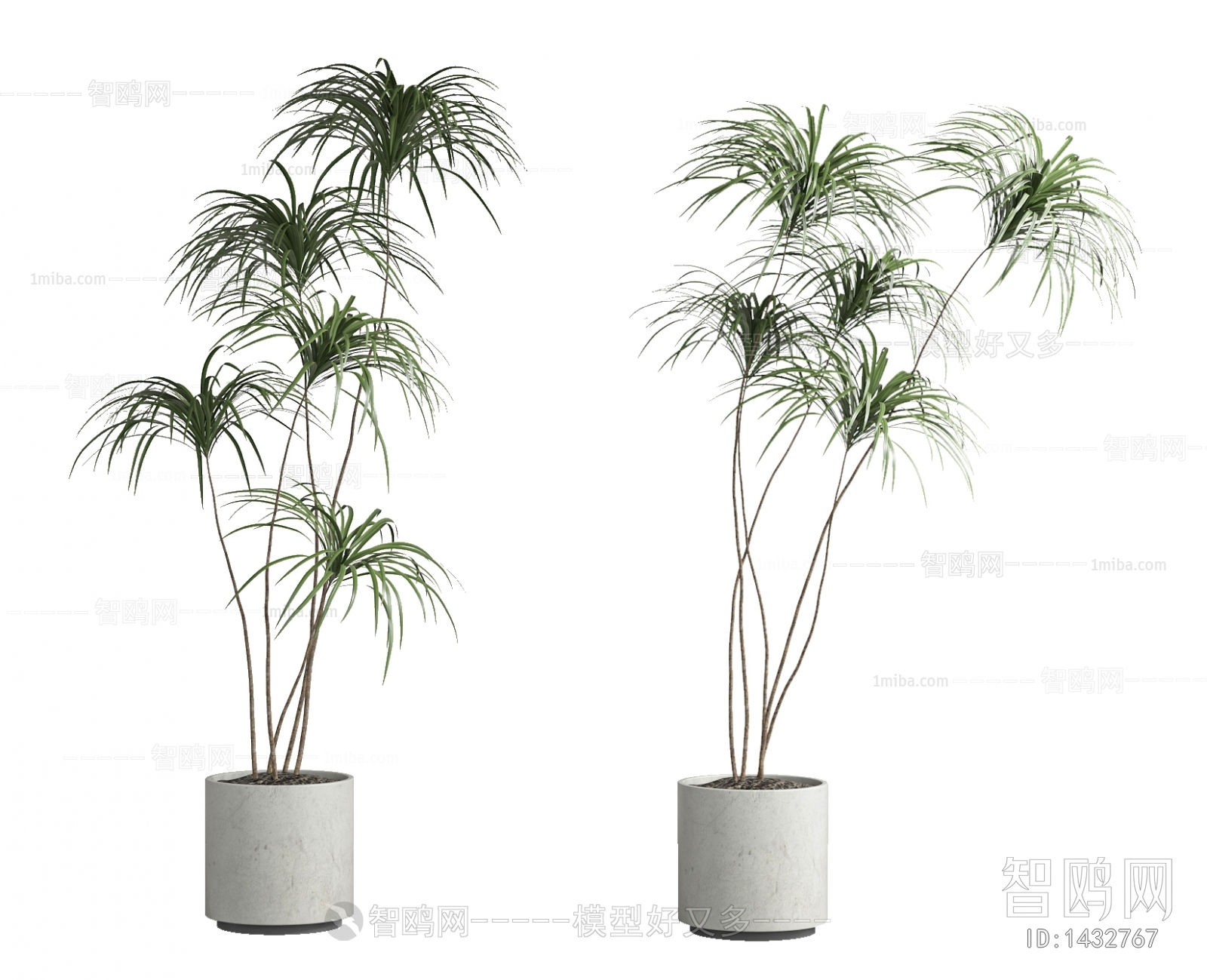 Modern Potted Green Plant