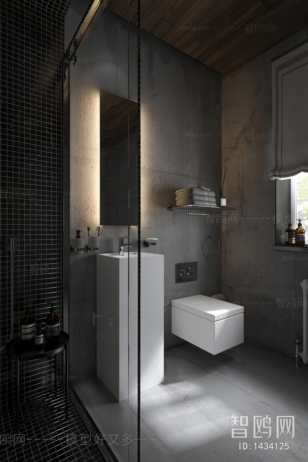 Industrial Style TOILET
