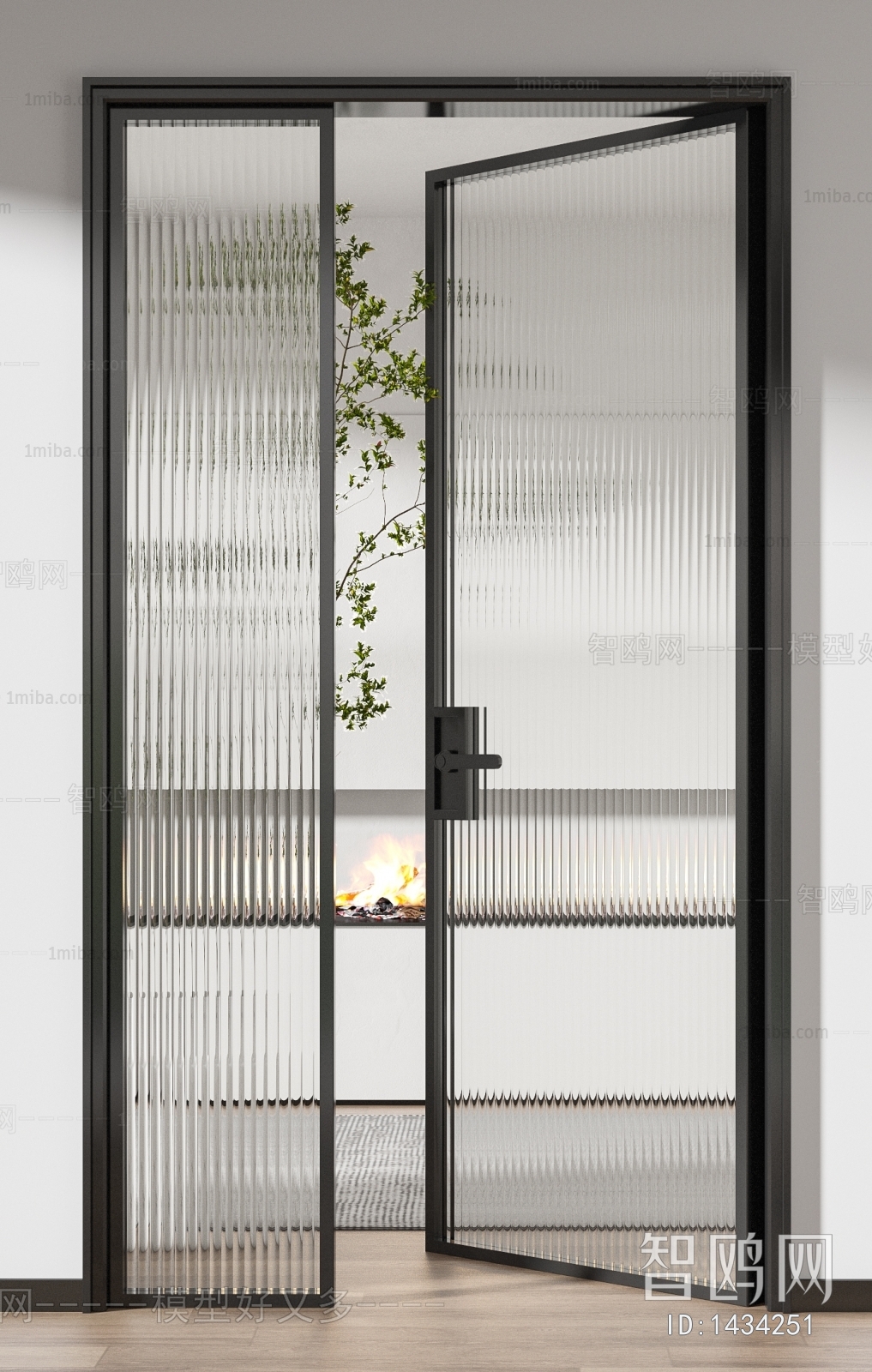 Modern Door