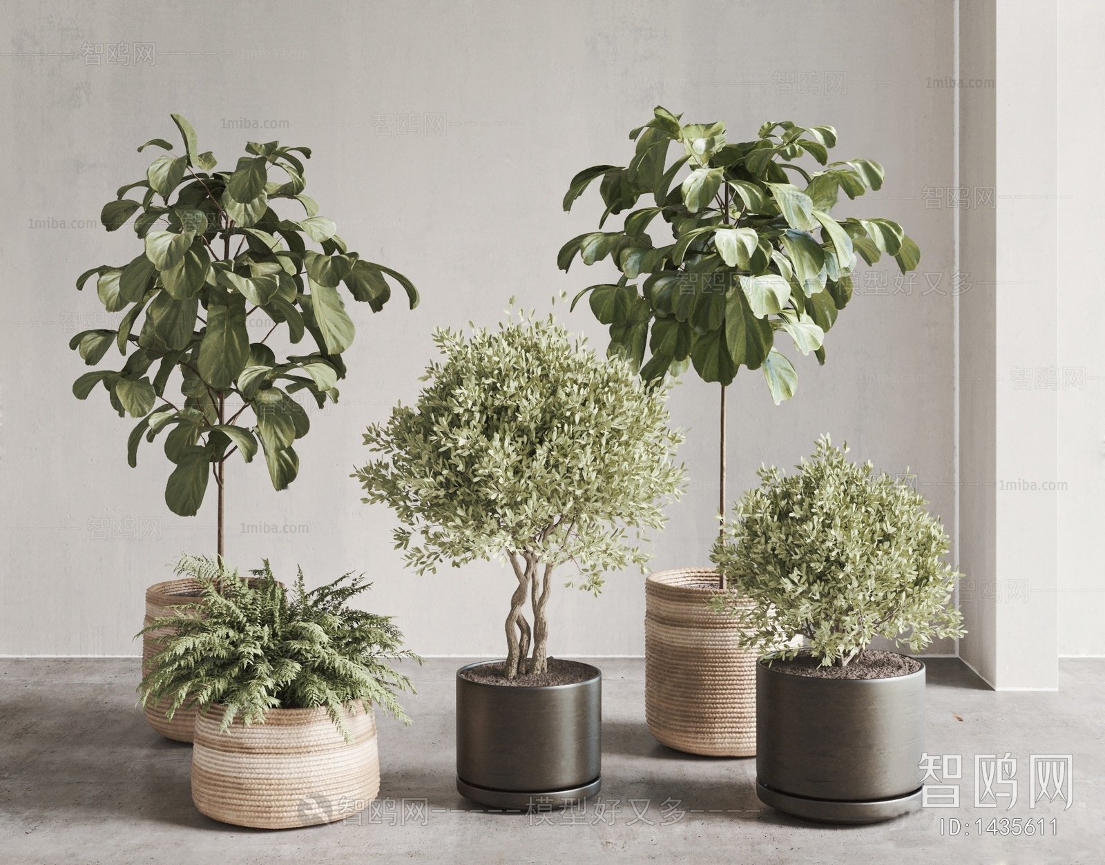 Modern Potted Green Plant