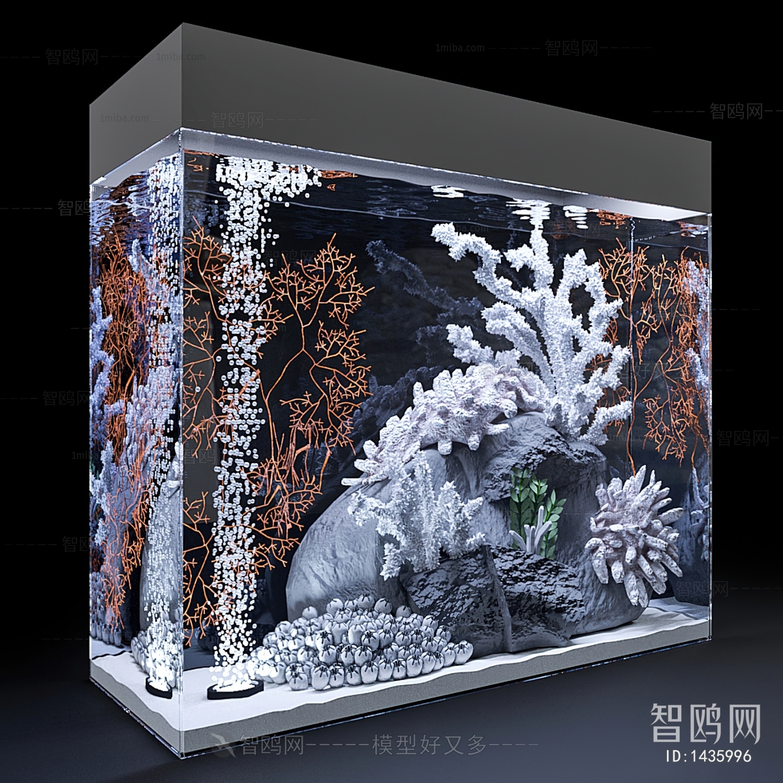 Modern Fish Tank