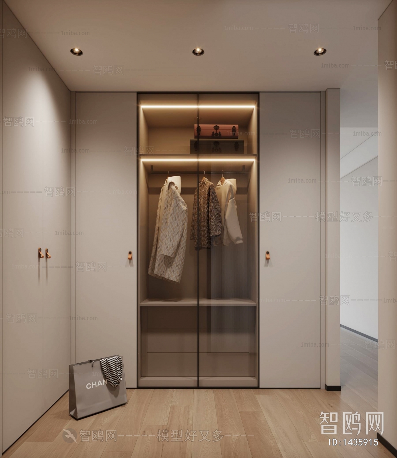 Modern Clothes Storage Area