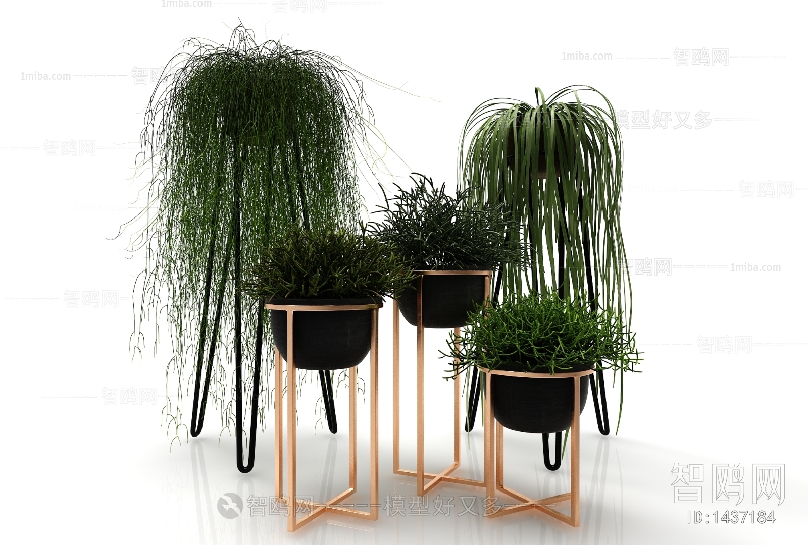 Modern Potted Green Plant