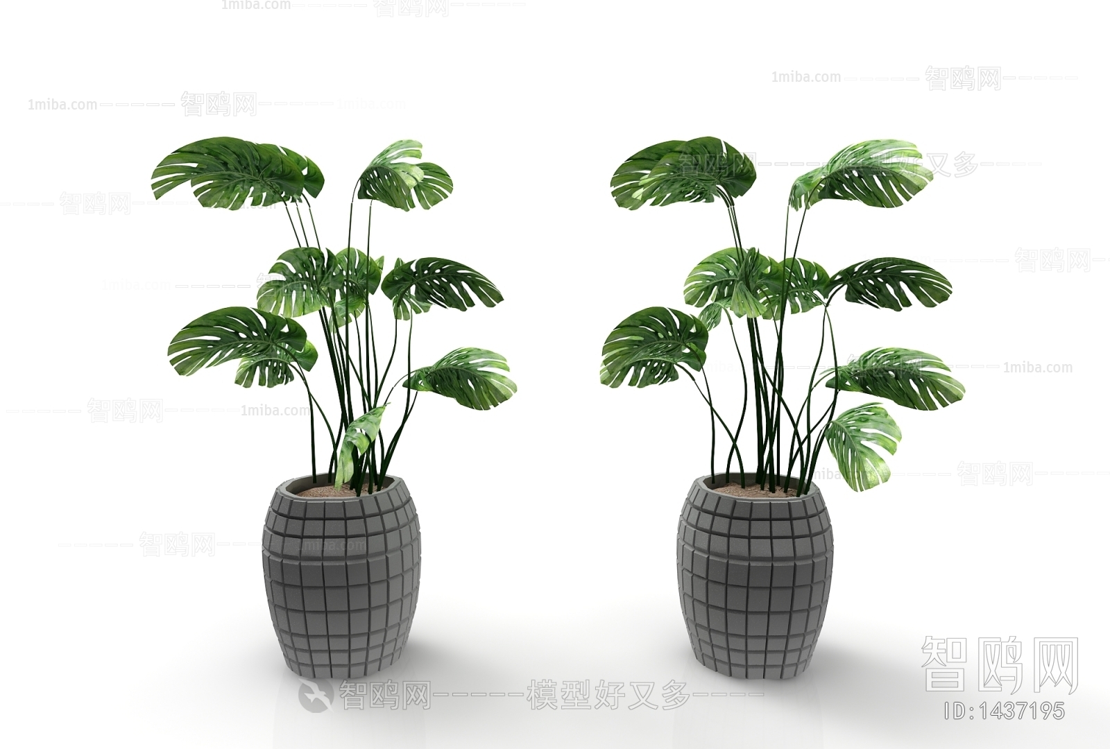 Modern Potted Green Plant