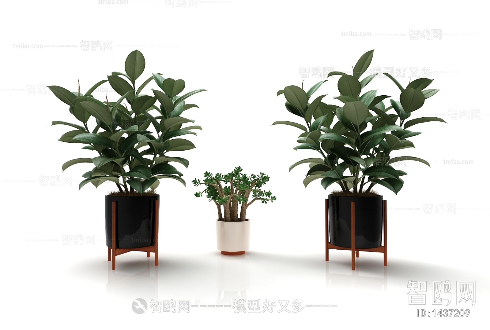 Modern Potted Green Plant