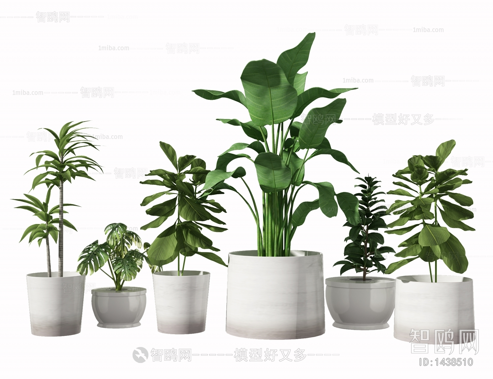 Modern Potted Green Plant