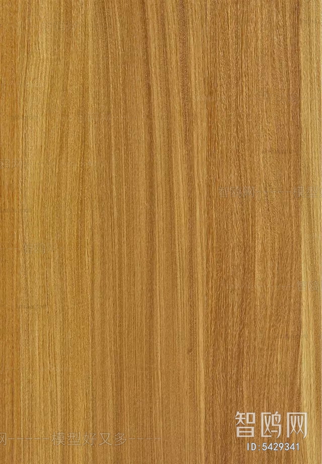 Wood Texture