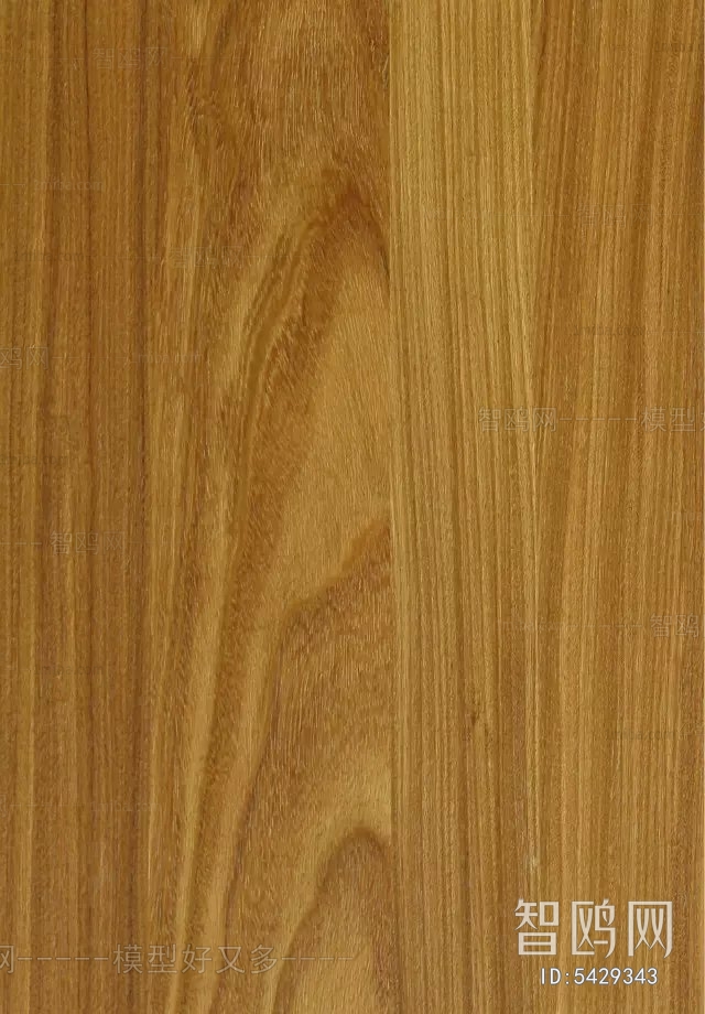 Wood Texture