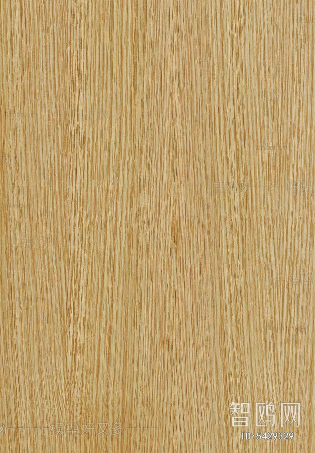 Wood Texture