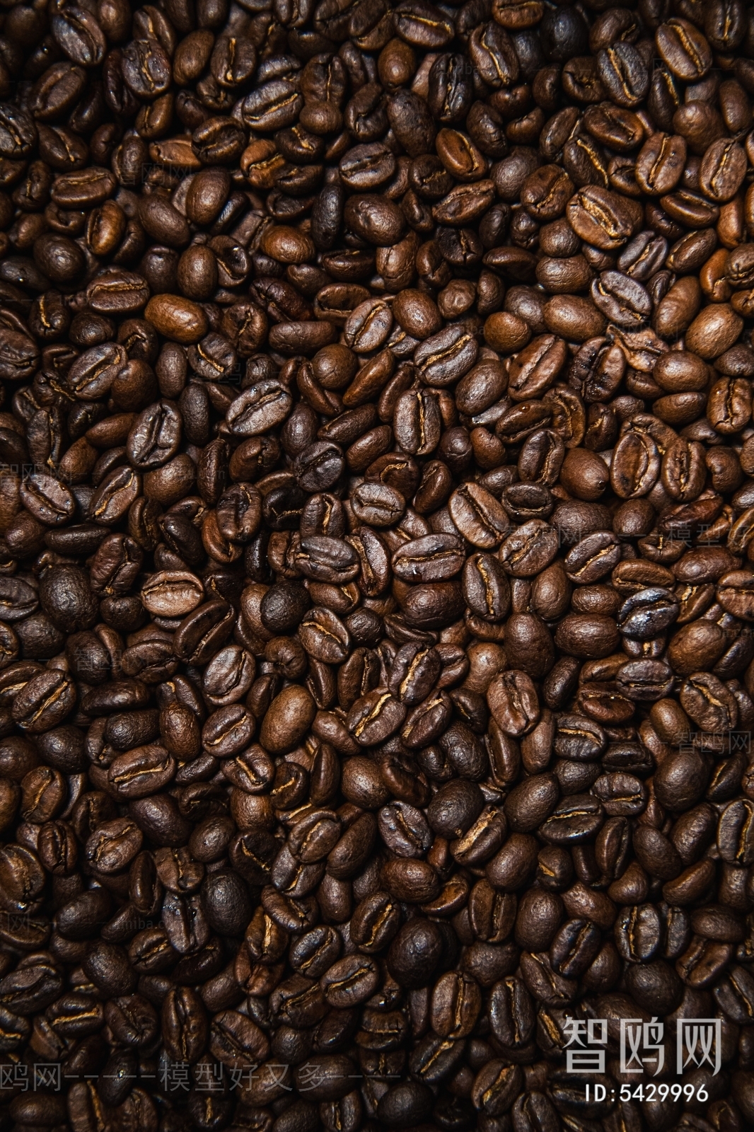 咖啡豆 咖啡