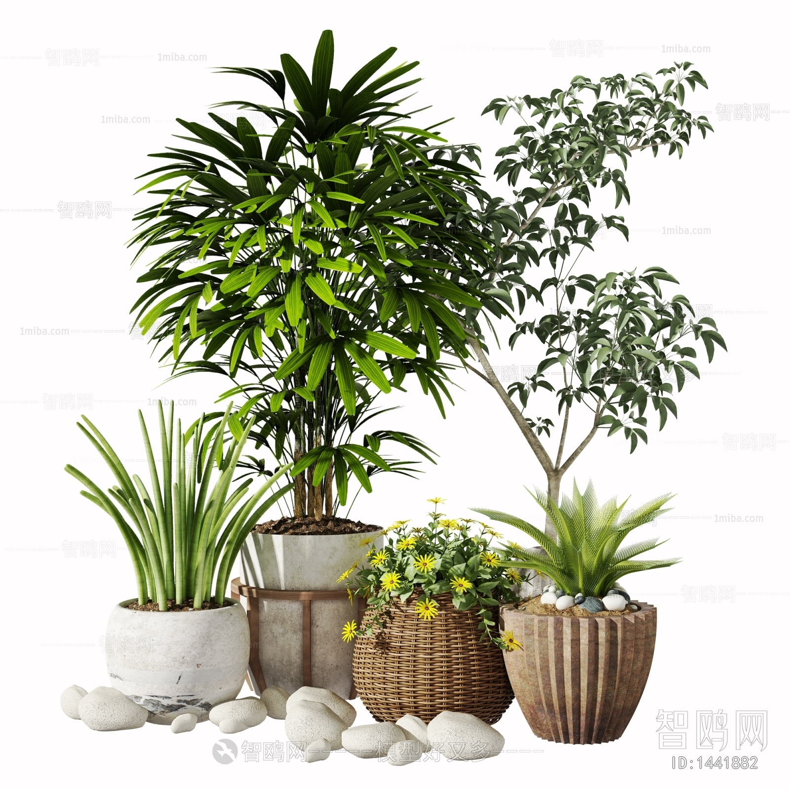 Modern Potted Green Plant