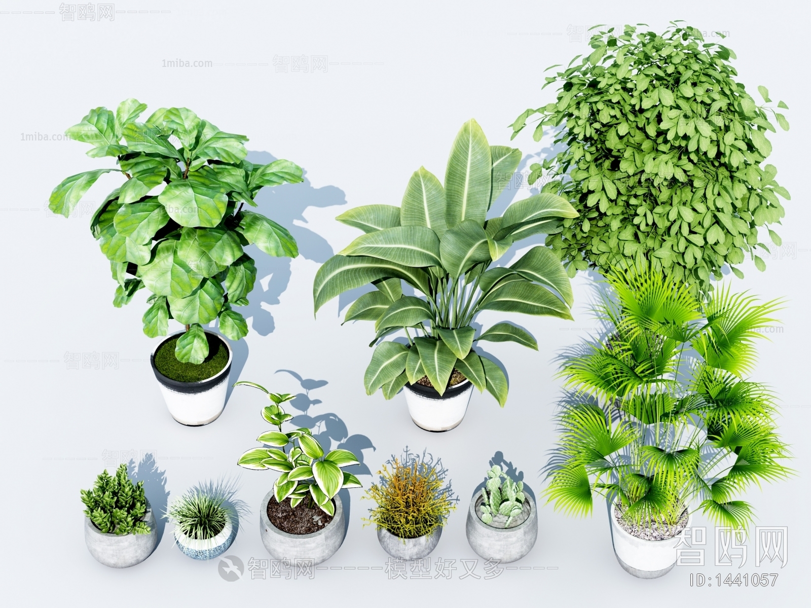 Modern Potted Green Plant