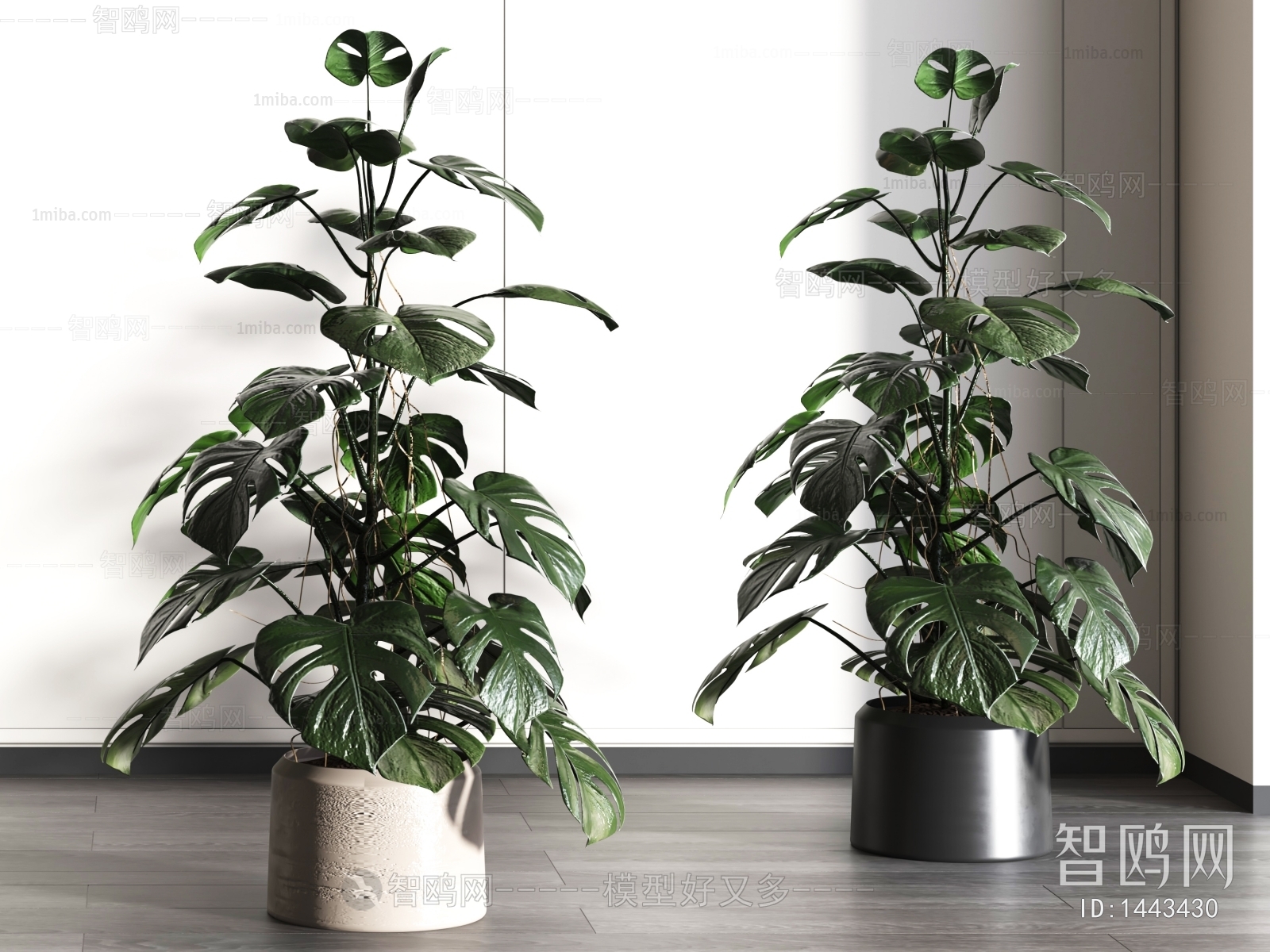 Modern Potted Green Plant