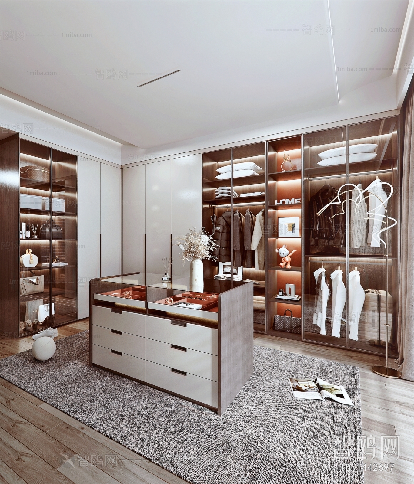 Modern Clothes Storage Area