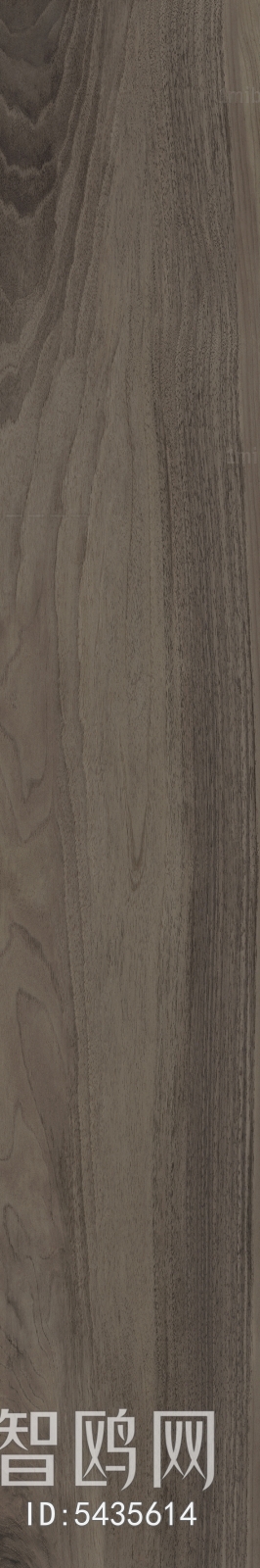 Wood Texture