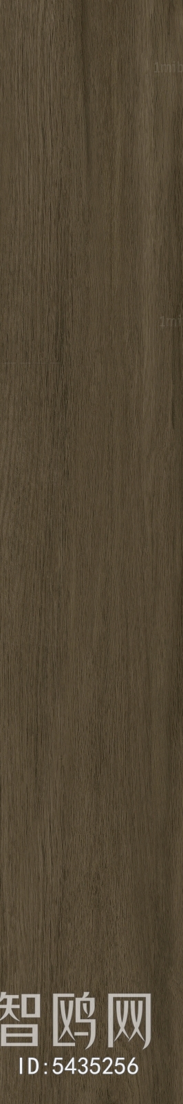 Wood Texture