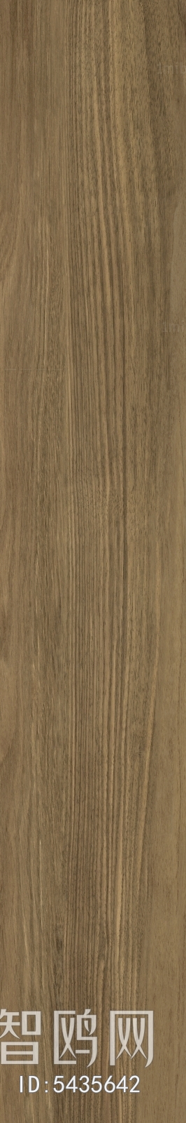 Wood Texture