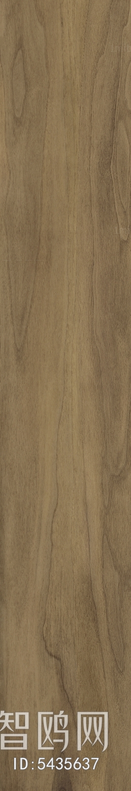 Wood Texture