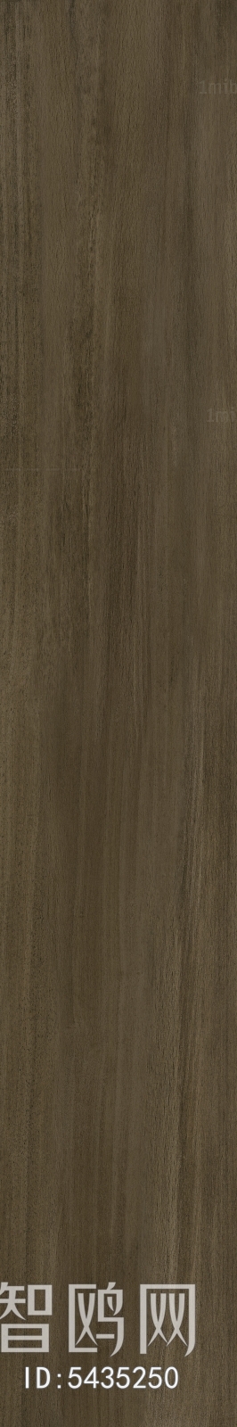 Wood Texture