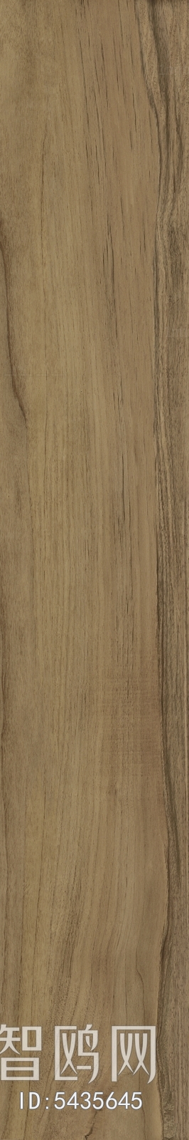 Wood Texture