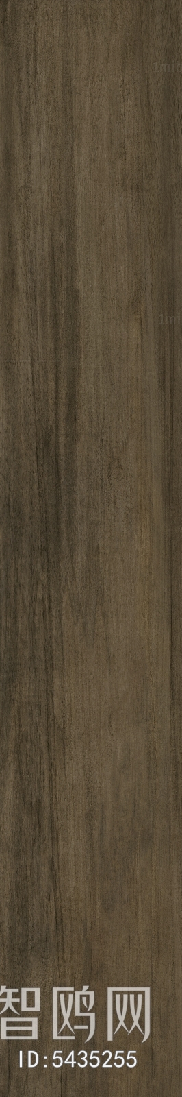 Wood Texture