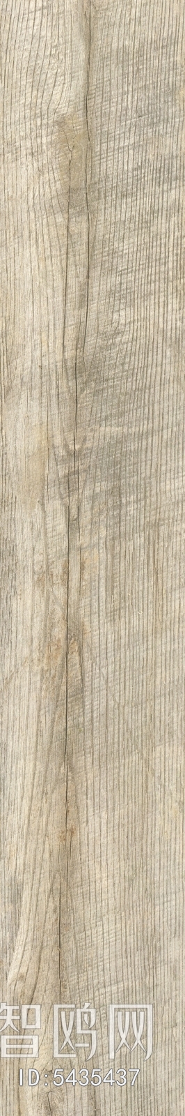 Wood Texture