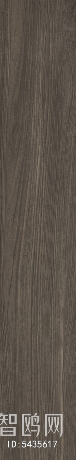 Wood Texture