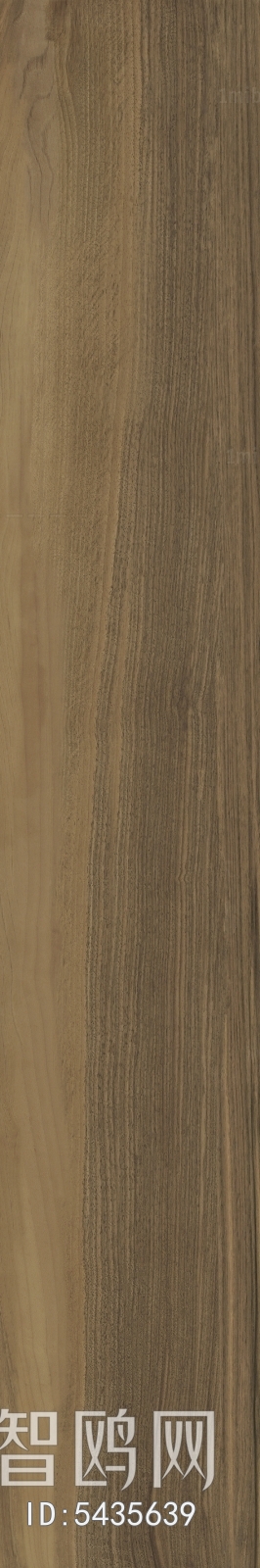 Wood Texture