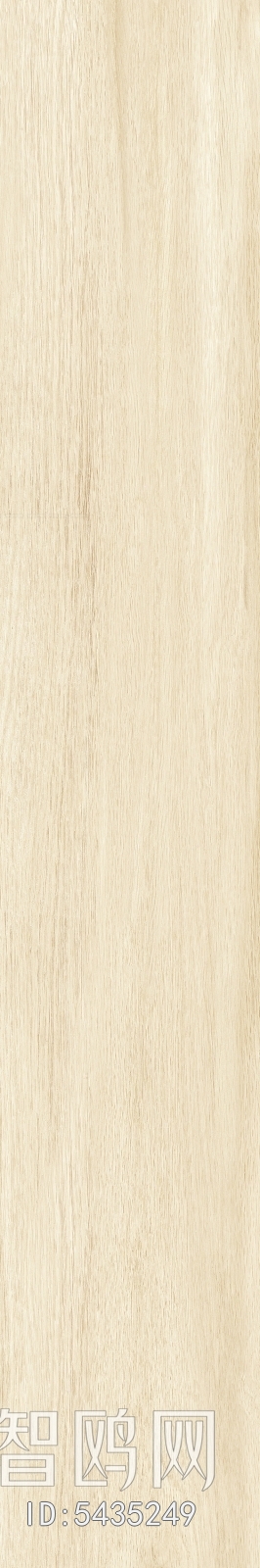 Wood Texture