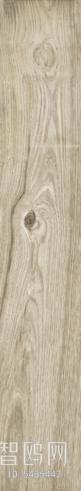 Wood Texture