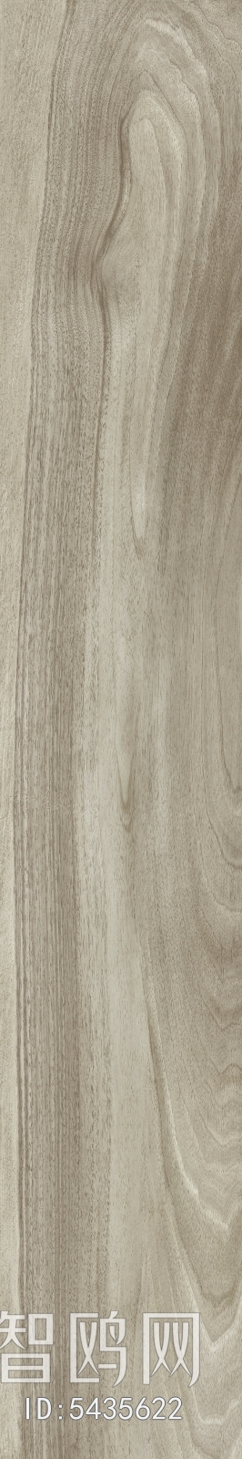 Wood Texture