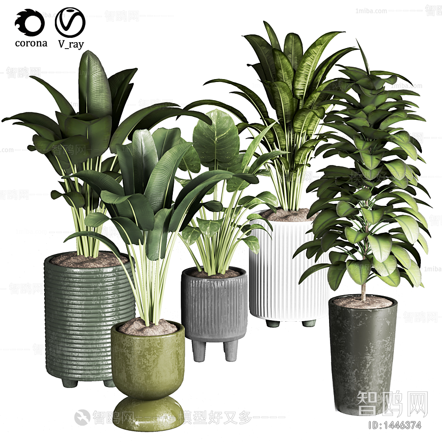 Modern Potted Green Plant