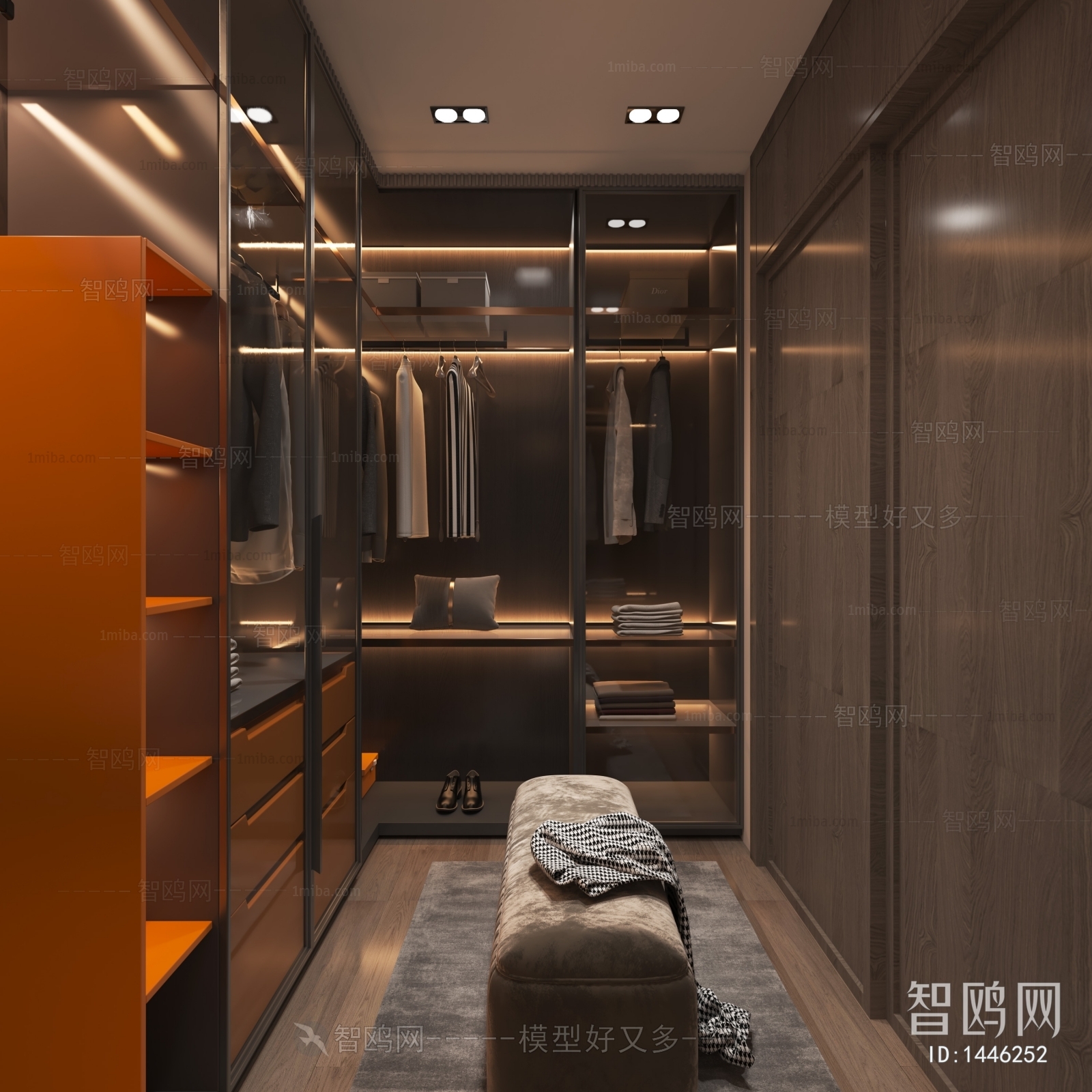 Modern Clothes Storage Area