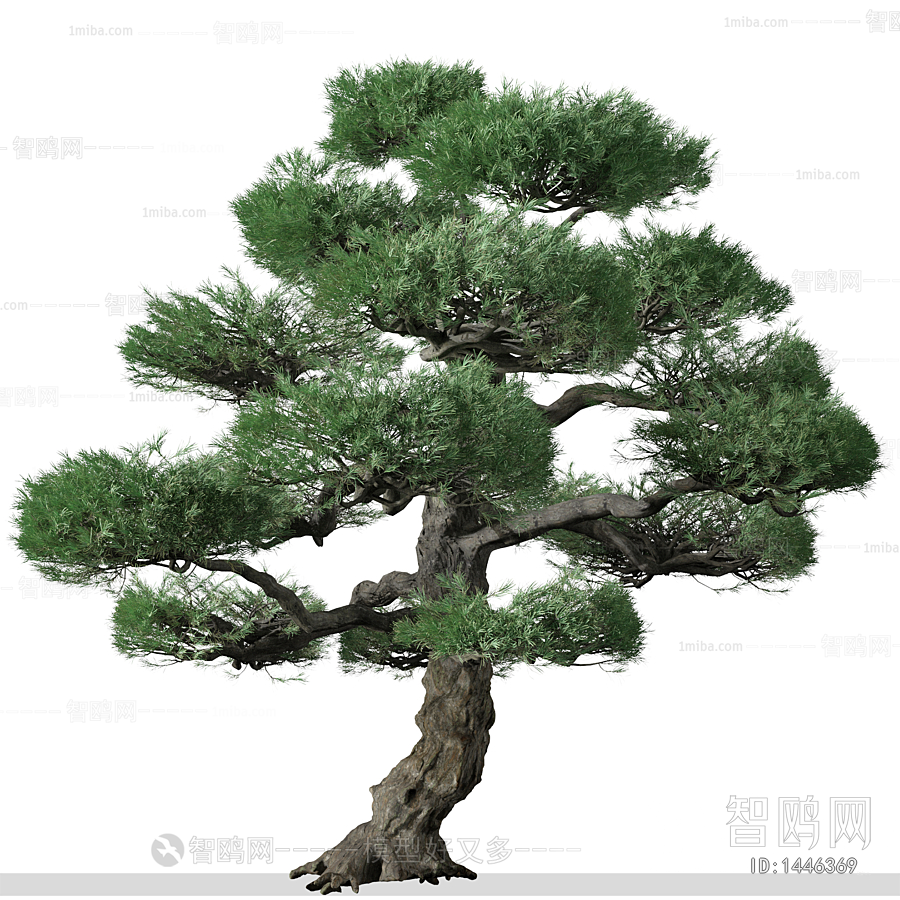 新中式迎客松树