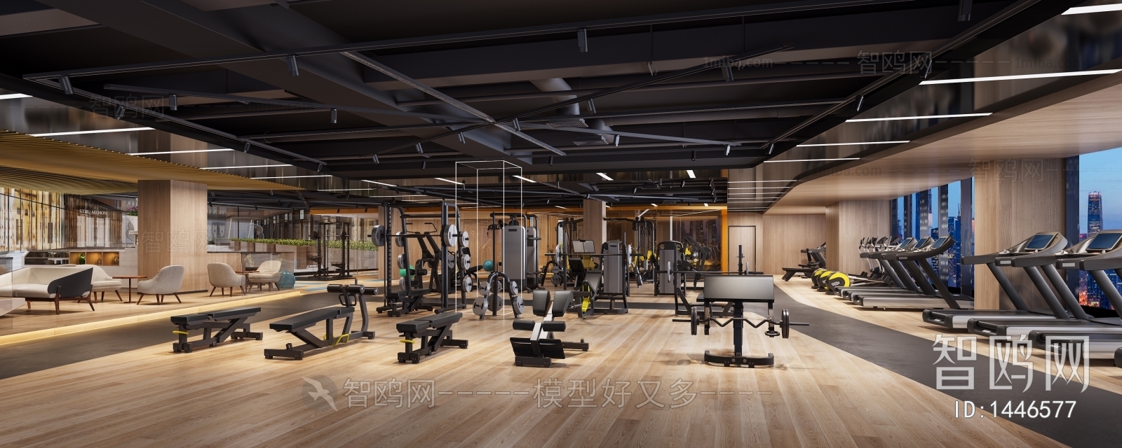 Modern Gym