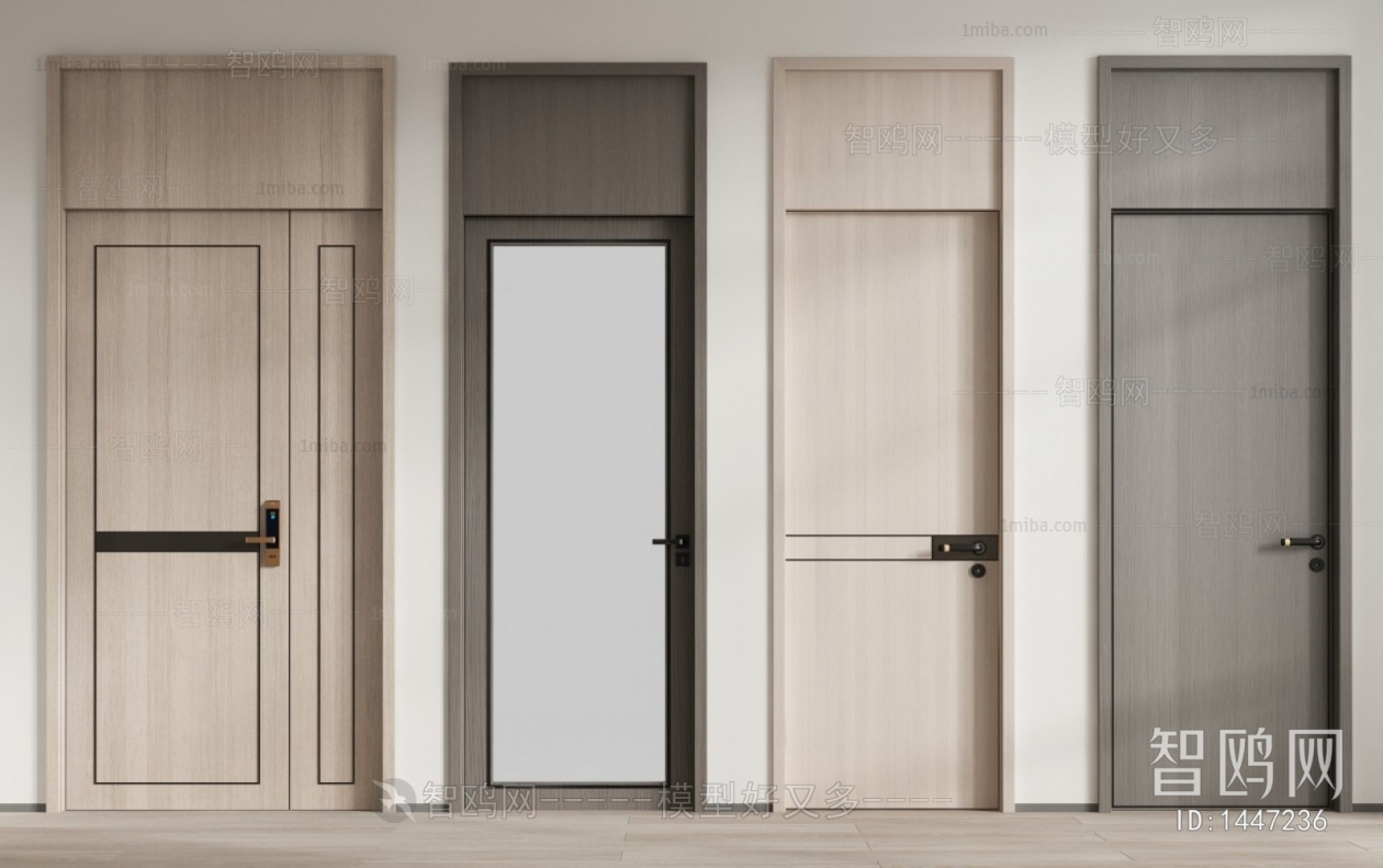 Modern Single Door